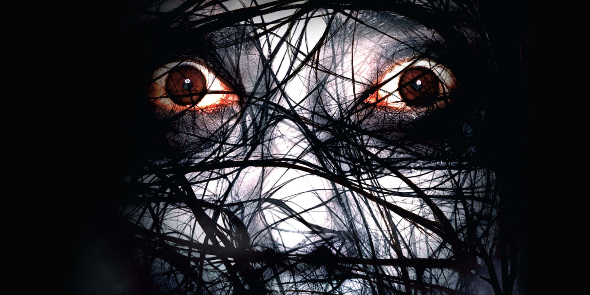 Imagen después de la frase 5