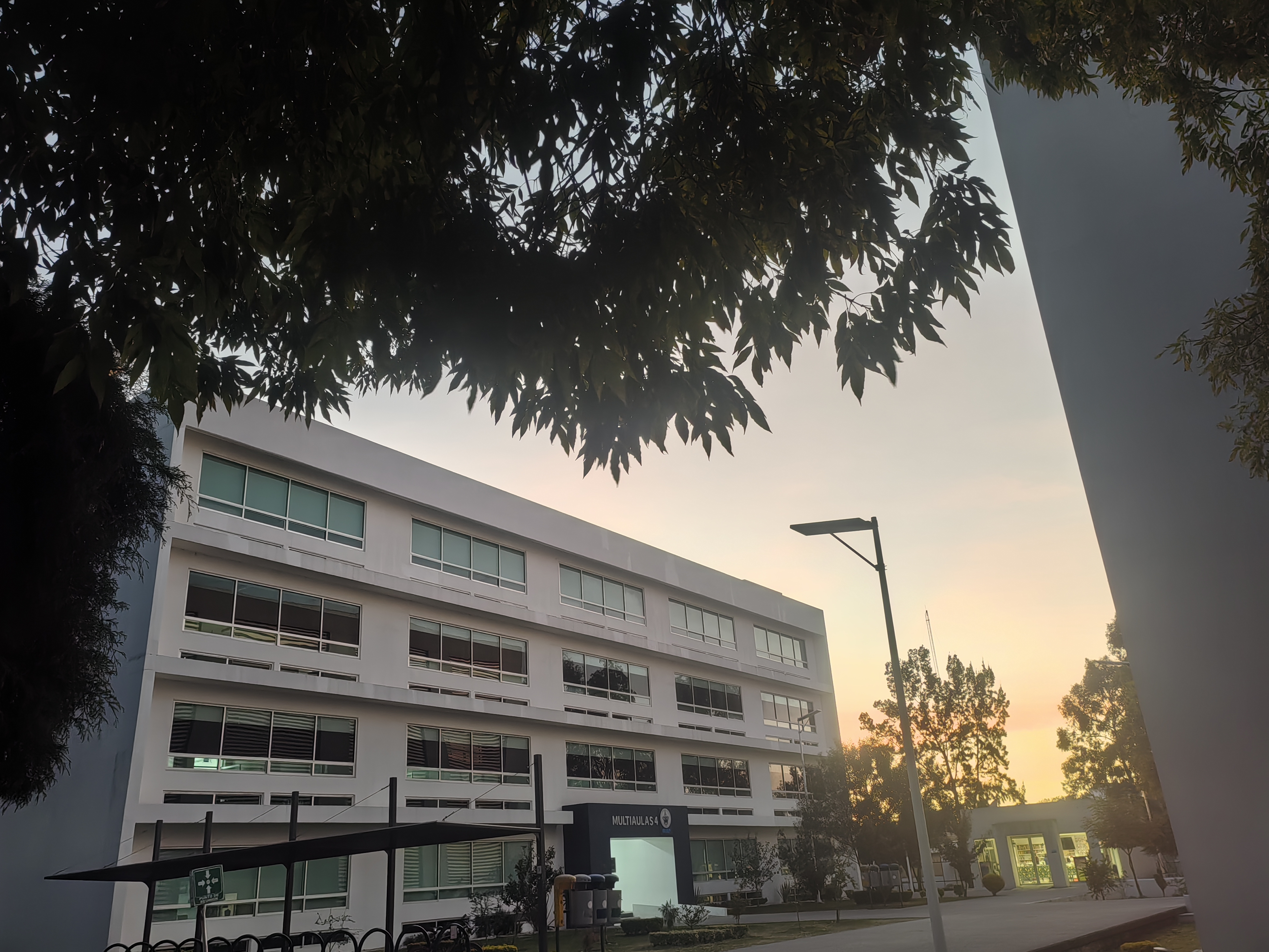 Imagen después de la frase 4