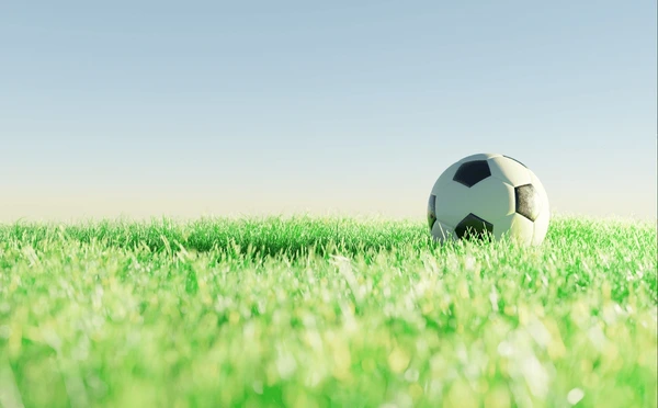 Imagen después de la frase 4