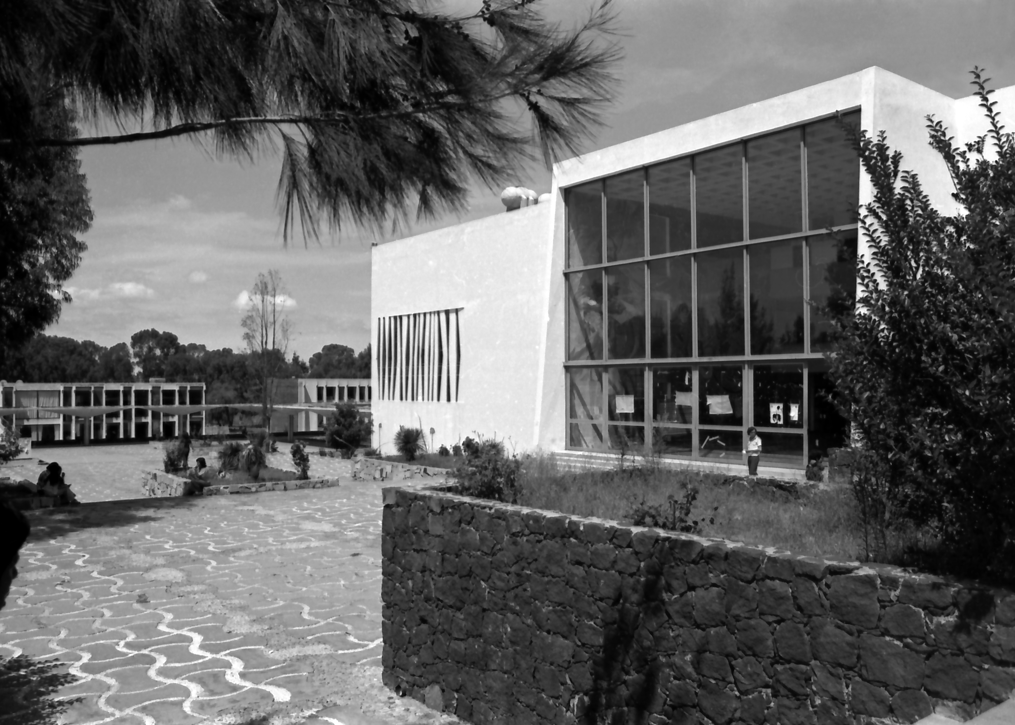 Imagen después de la frase 3