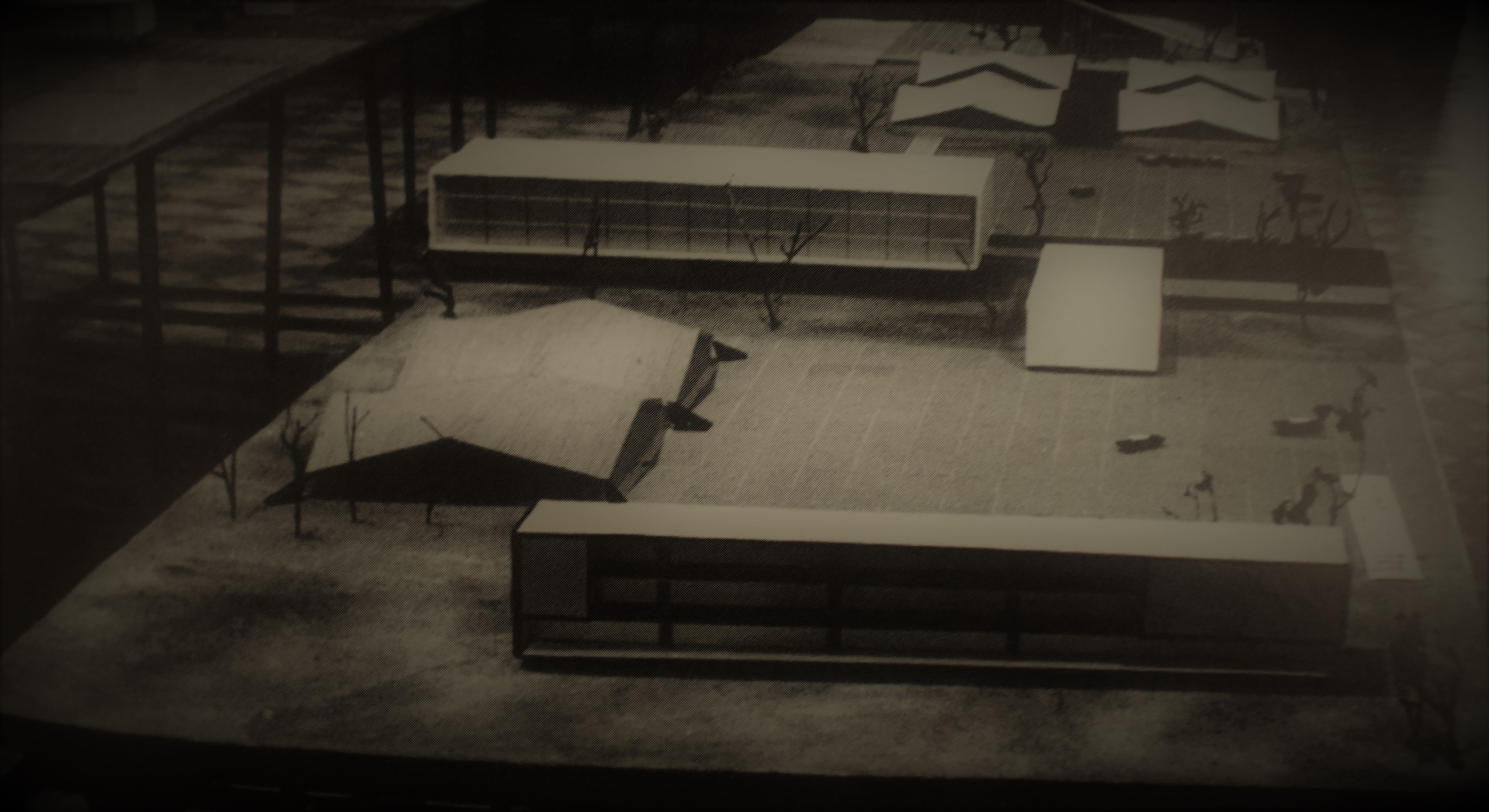 Imagen después de la frase 5